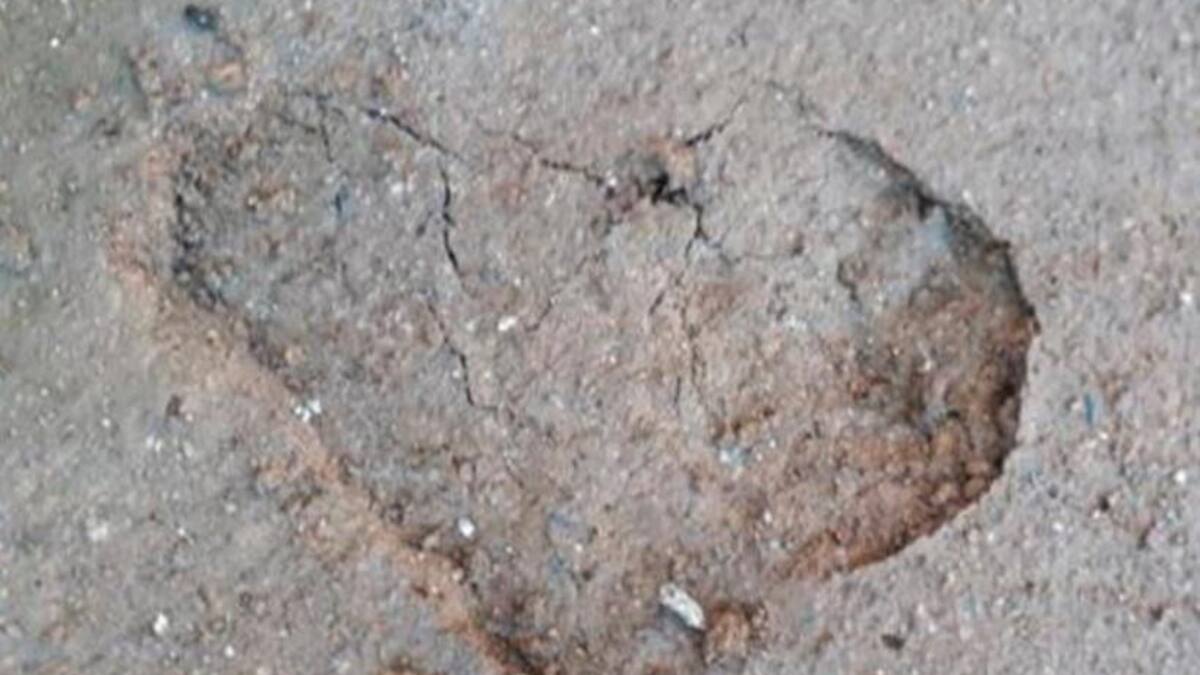 Detuvieron a turistas argentinos por dañar y defecar en Machu Picchu