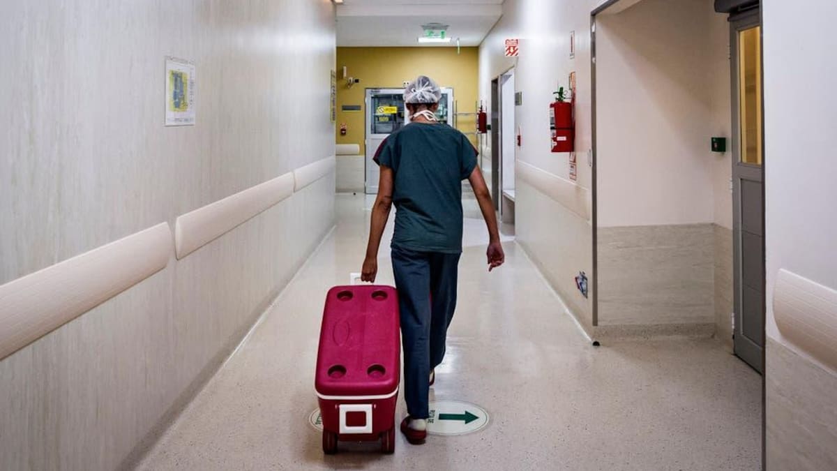 Día de donación de órganos, efemérides