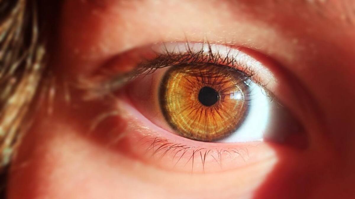 Día Mundial de la Visión: el 80% de los casos de ceguera pueden ser evitados