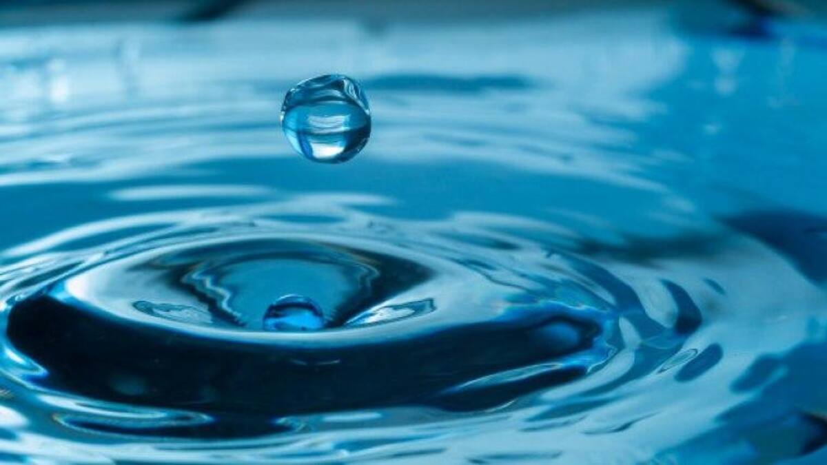 Día Mundial del Agua: ¿por qué se celebra el 22 de marzo?