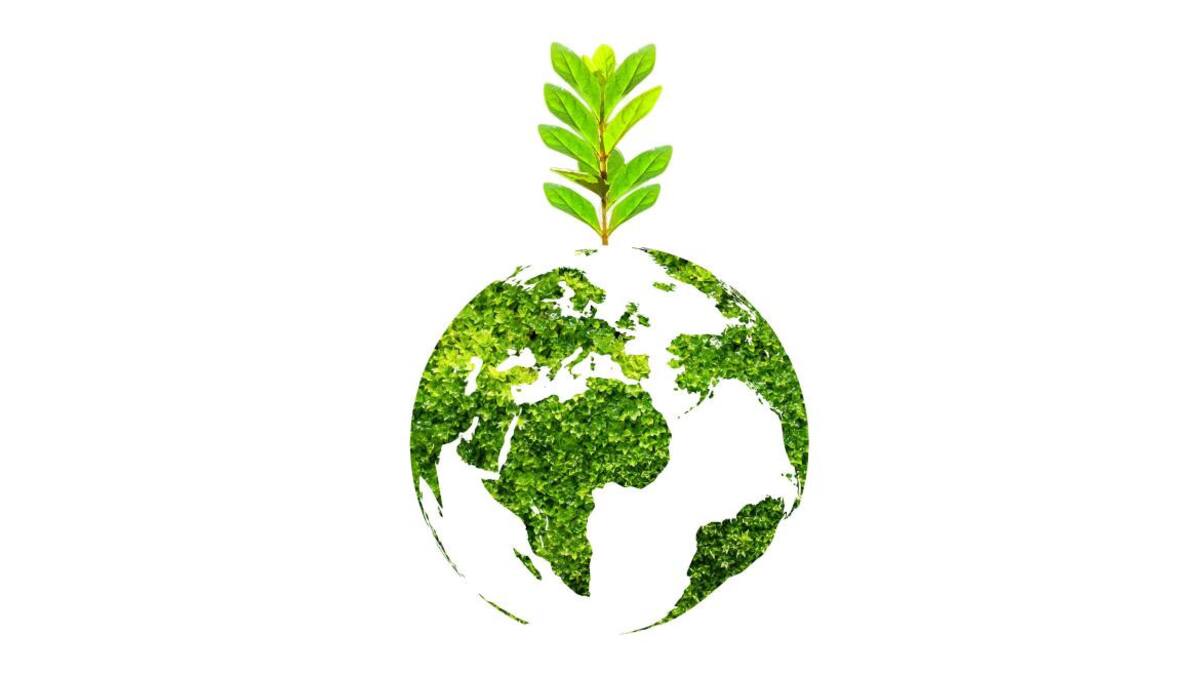 Día Mundial del Reciclaje. Foto: Reuters.