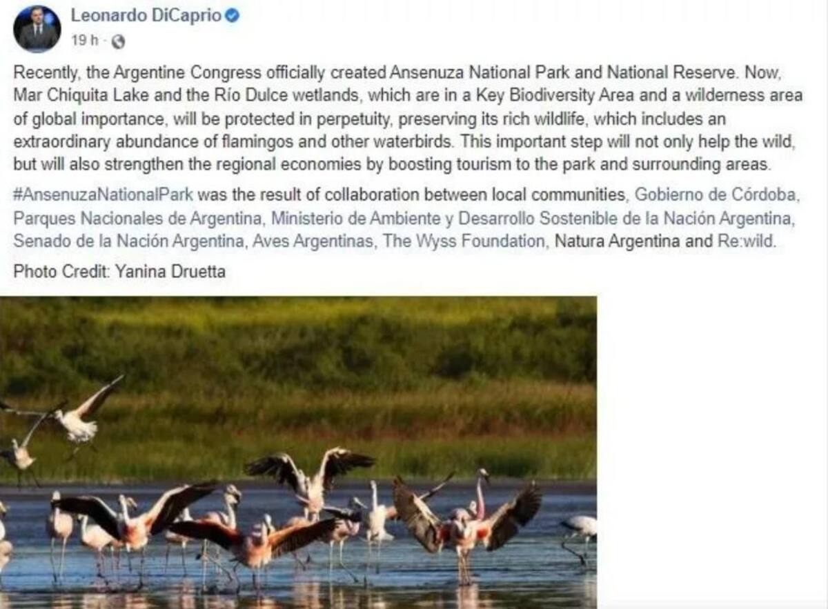 DiCaprio felicitó a Argentina. Foto: Facebook Leonardo DiCaprio.