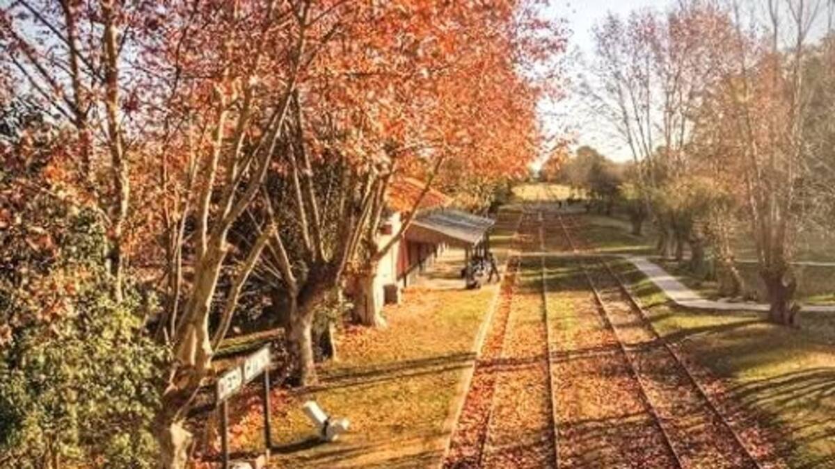 Entre calles históricas y aire de campo: el pueblito bonaerense que ofrece historia y naturaleza en un solo lugar