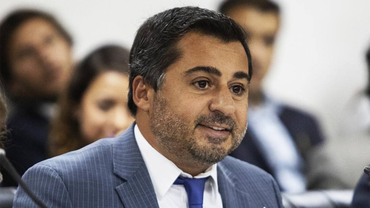 Diego Molea, Consejo de la Magistratura, NA