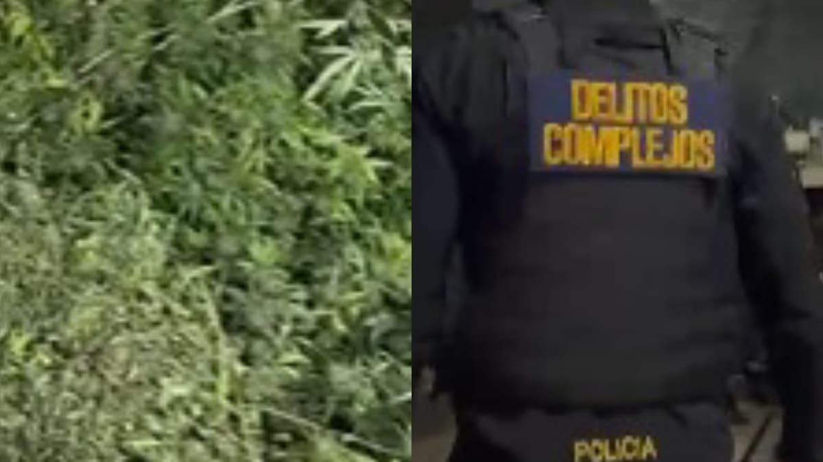 Golpe al narcotráfico: diez allanamientos simultáneos desarticulan una banda que operaba en el AMBA