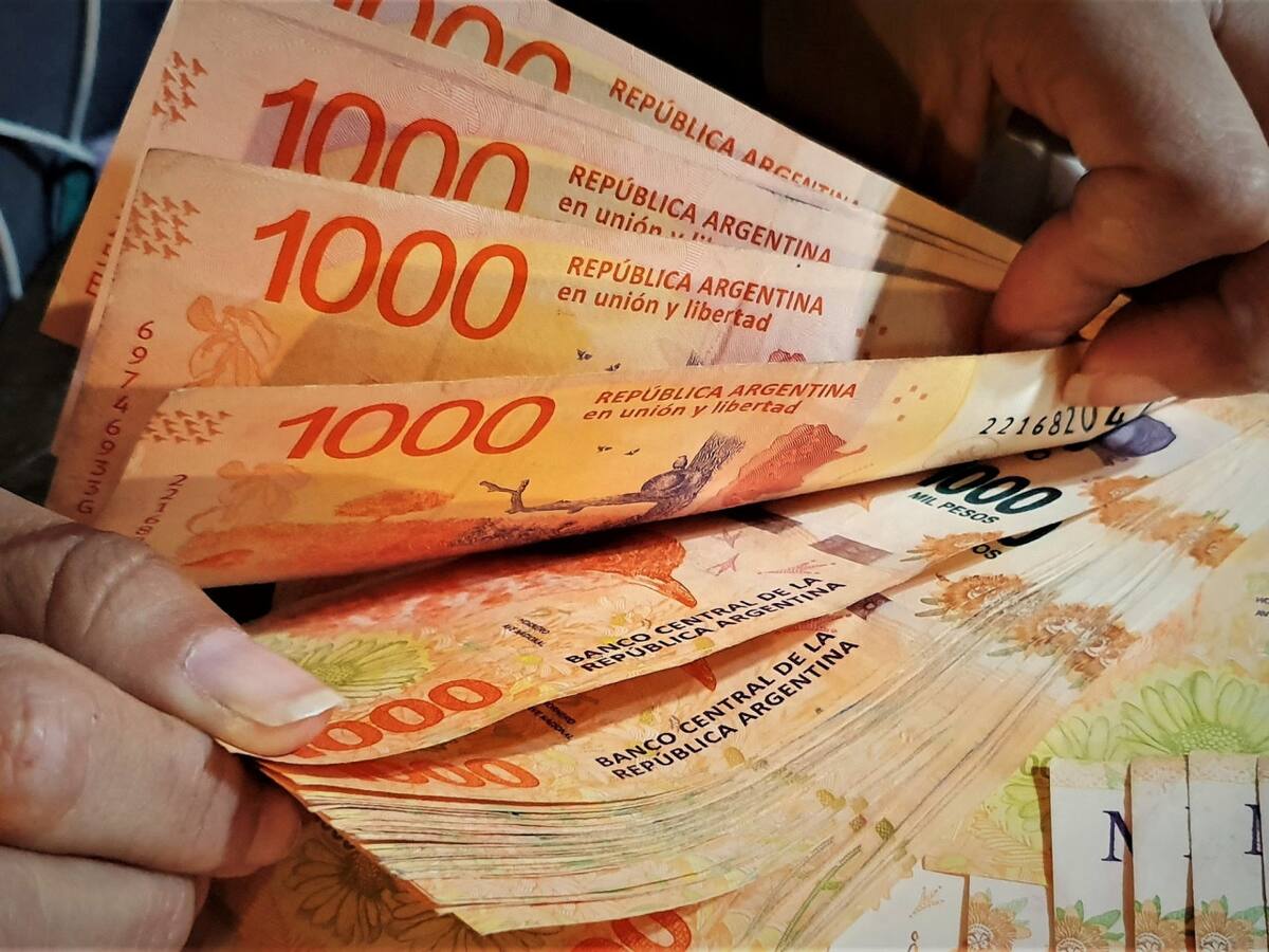 Dinero argentino. Foto: archivo Canal 26