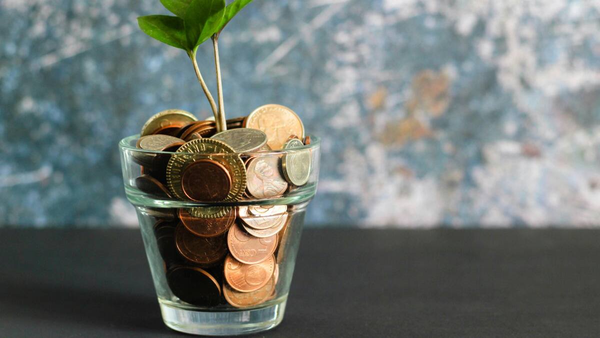 Dinero. Foto: Unsplash