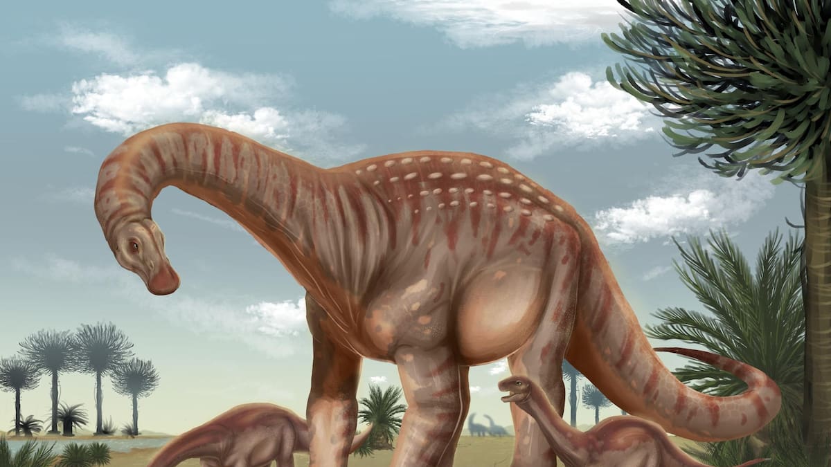 Descubrieron en Uruguay un nuevo dinosaurio gigante: habitó hace 83 millones de años y lo llamaron “El Protector”