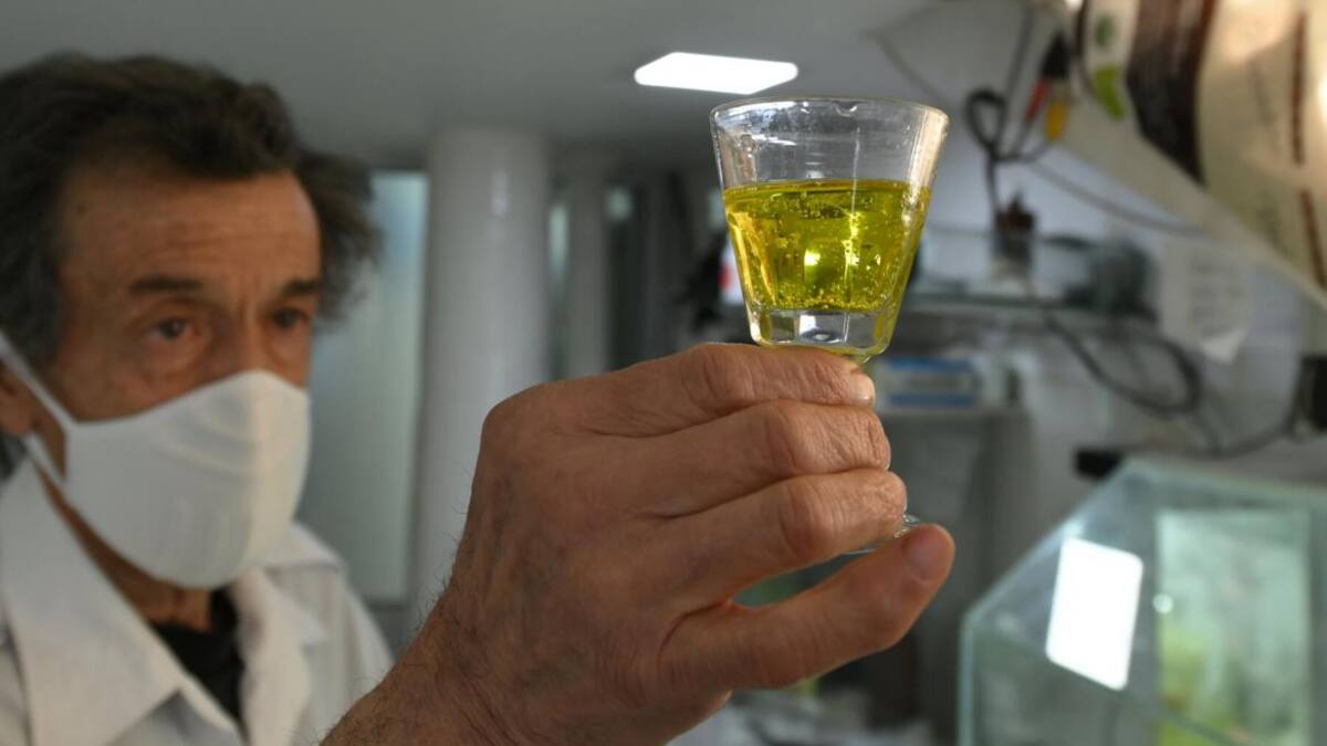 Dióxido de cloro, Perú, Reuters