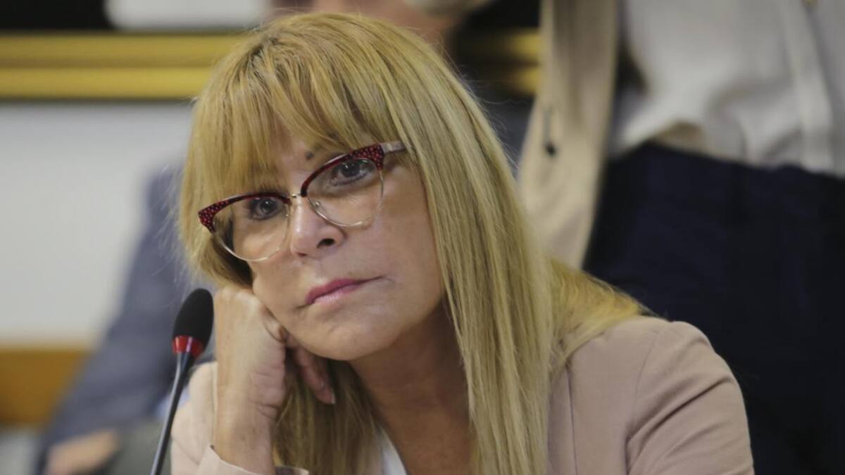 Diputada Aída Ayala - Agencia NA