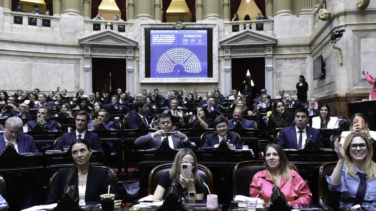 Diputados aprobó el DNU del acuerdo del Gobierno con el FMI. FOTO: (fotografia.dgpd/gob.ar)/ NA.