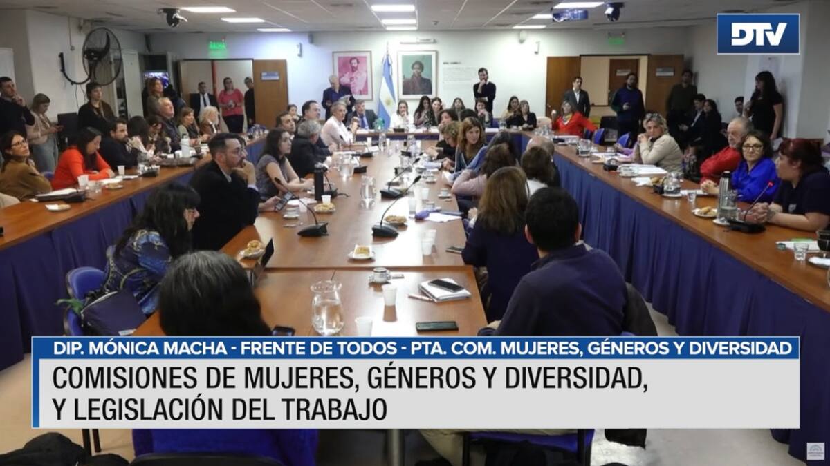 Diputados debatieron la ampliación de licencias maternales, paternales y parentales. Foto: DTV.