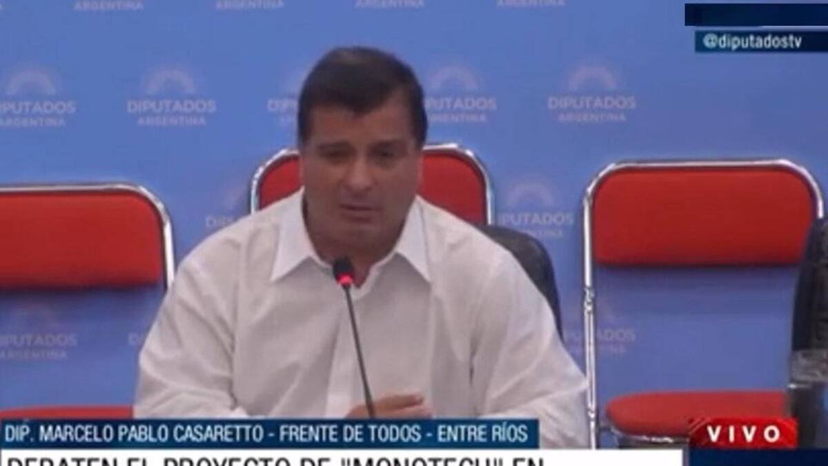 Diputados: dictamen favorable para el proyecto de Monotech