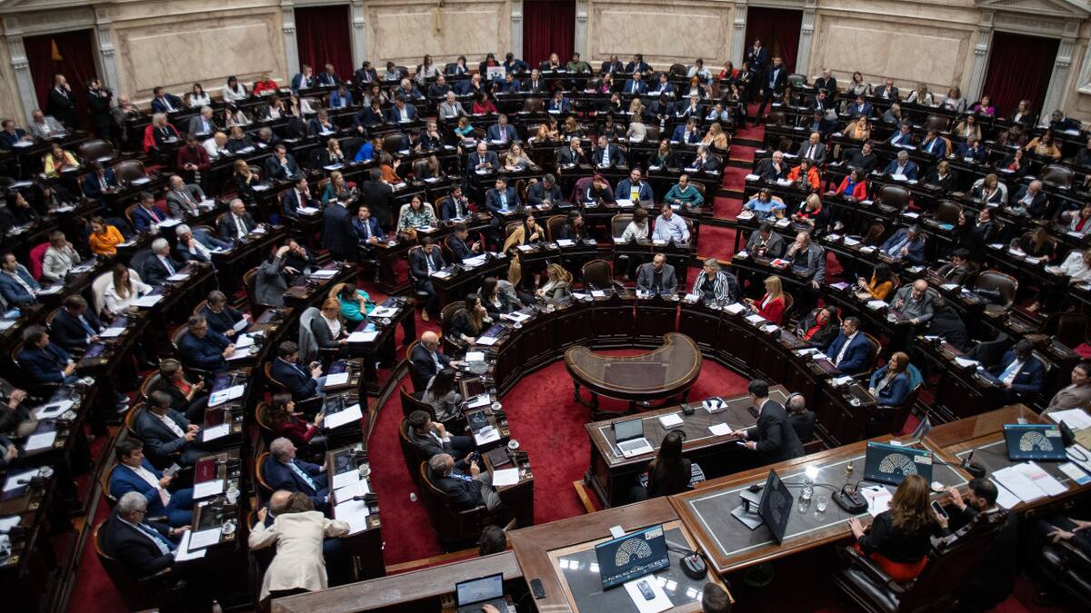 Diputados dio media sanción a una reforma de la ley de alquileres. Foto: Télam.