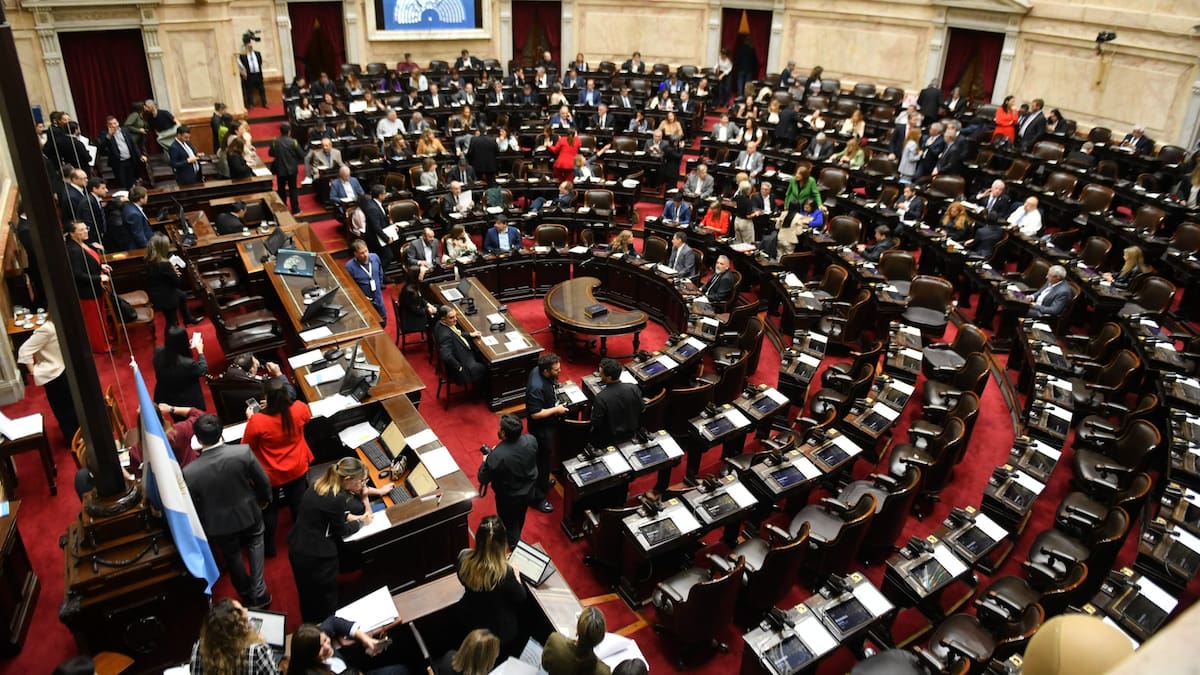 Diputados rechazó los vetos de Javier Milei al financiamiento del Garrahan y las universidades