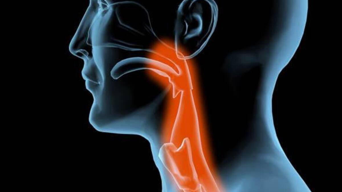 Disfagia, trastornos para tragar, alimentación