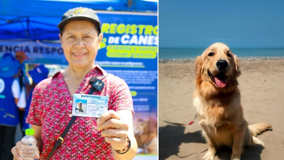 DNI para mascotas en Perú.