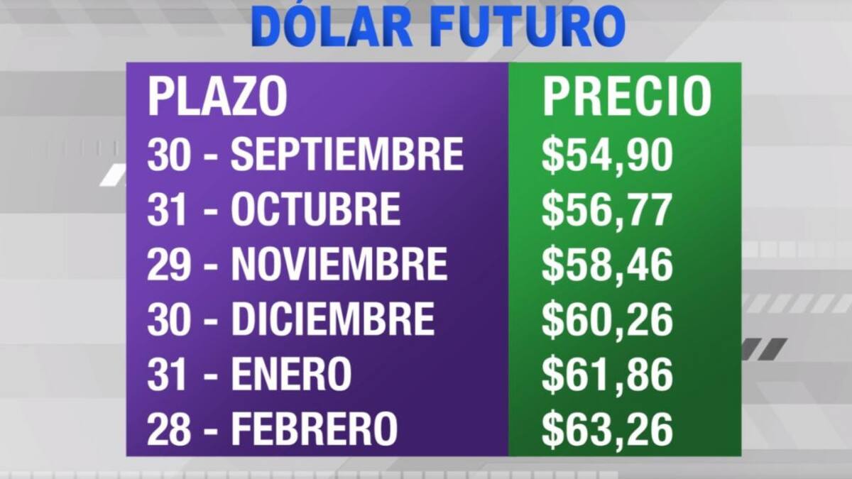 Dólar futuro, cotizaciones septiembre 2019 - febrero 2020, economía argentina, CANAL 26