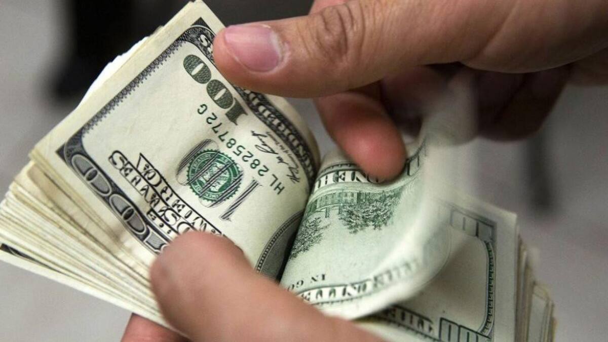 Dólares: el Banco Central legalizó a los "arbolitos"