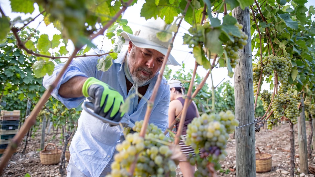 Lejos de las cocinas y las cámaras: así es la vida de Donato De Santis en Italia, entre viñedos y tradiciones familiares