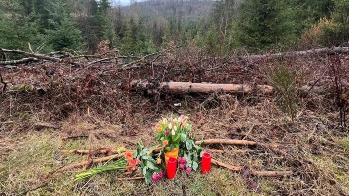 Dos adolescentes alemanas mataron a puñaladas a una chica de 12 años. Reuters