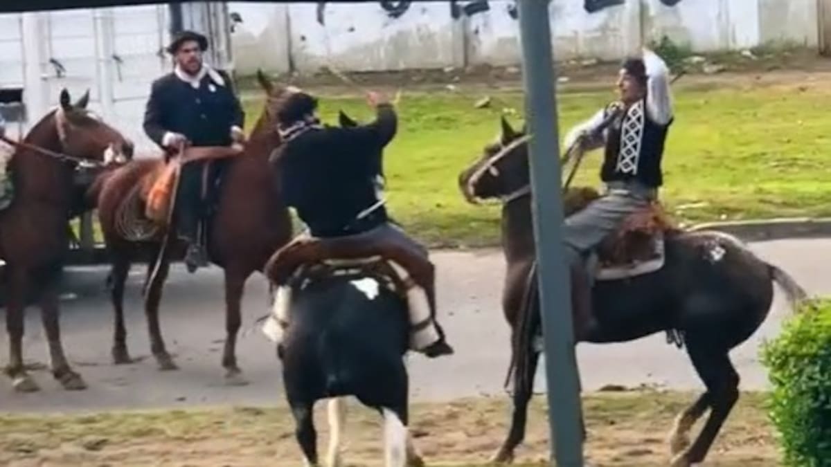 VIDEO Furia en un festival de folklore: dos jinetes se agarraron a rebencazos a caballo en pleno desfile