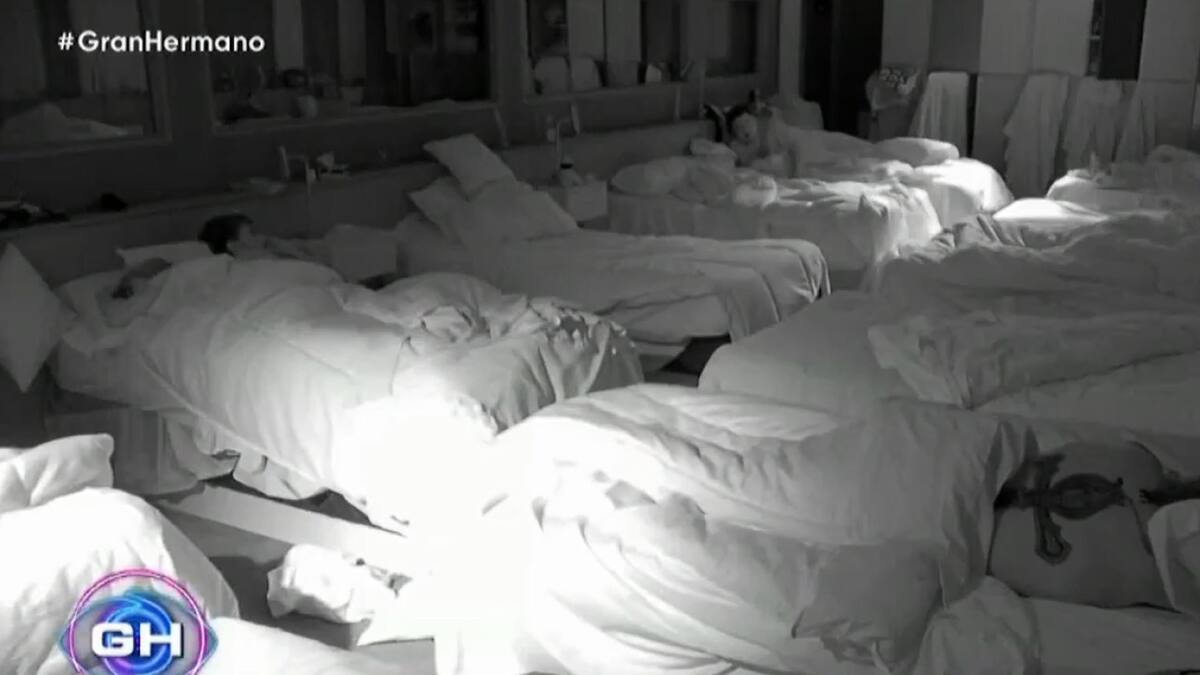 Dos participantes de Gran Hermano dieron el consentimiento. Foto: Captura.