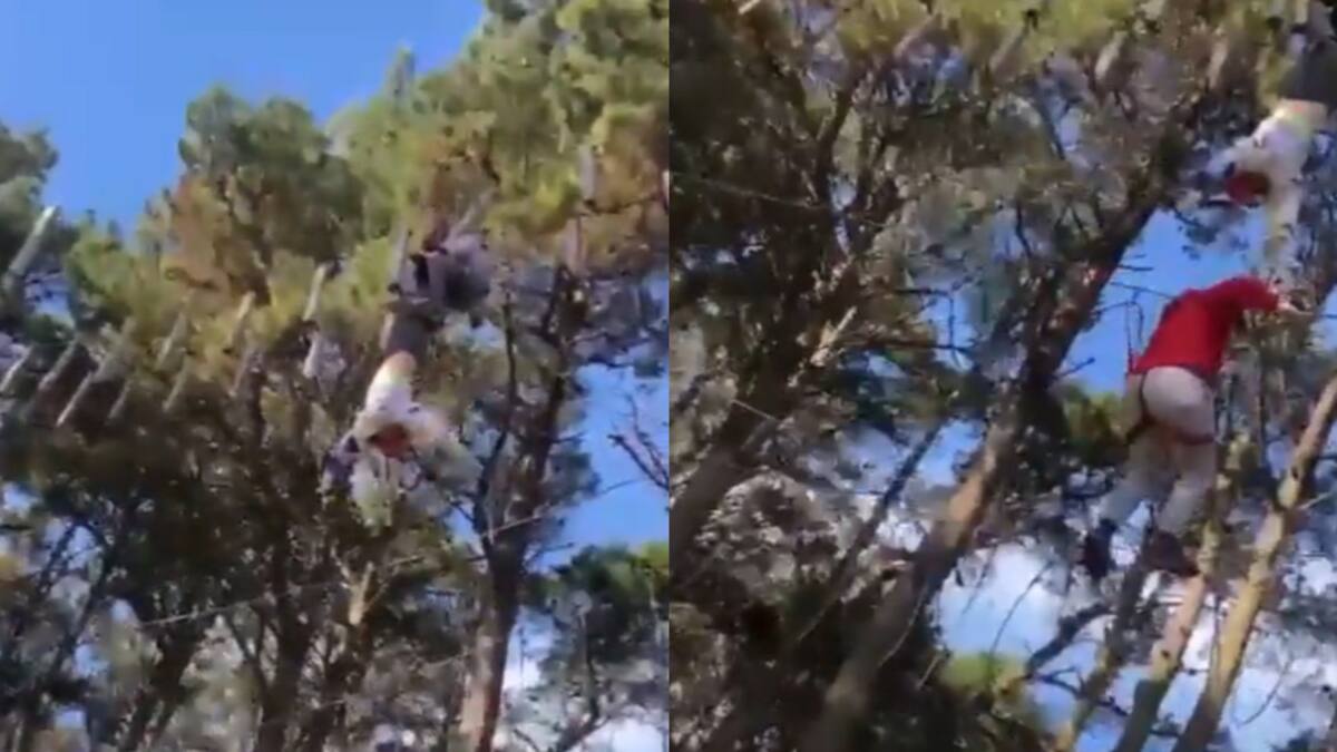 Dramático rescate de una niña de 11 años que quedó colgada a 10 metros de altura. Foto: Captura de pantalla.