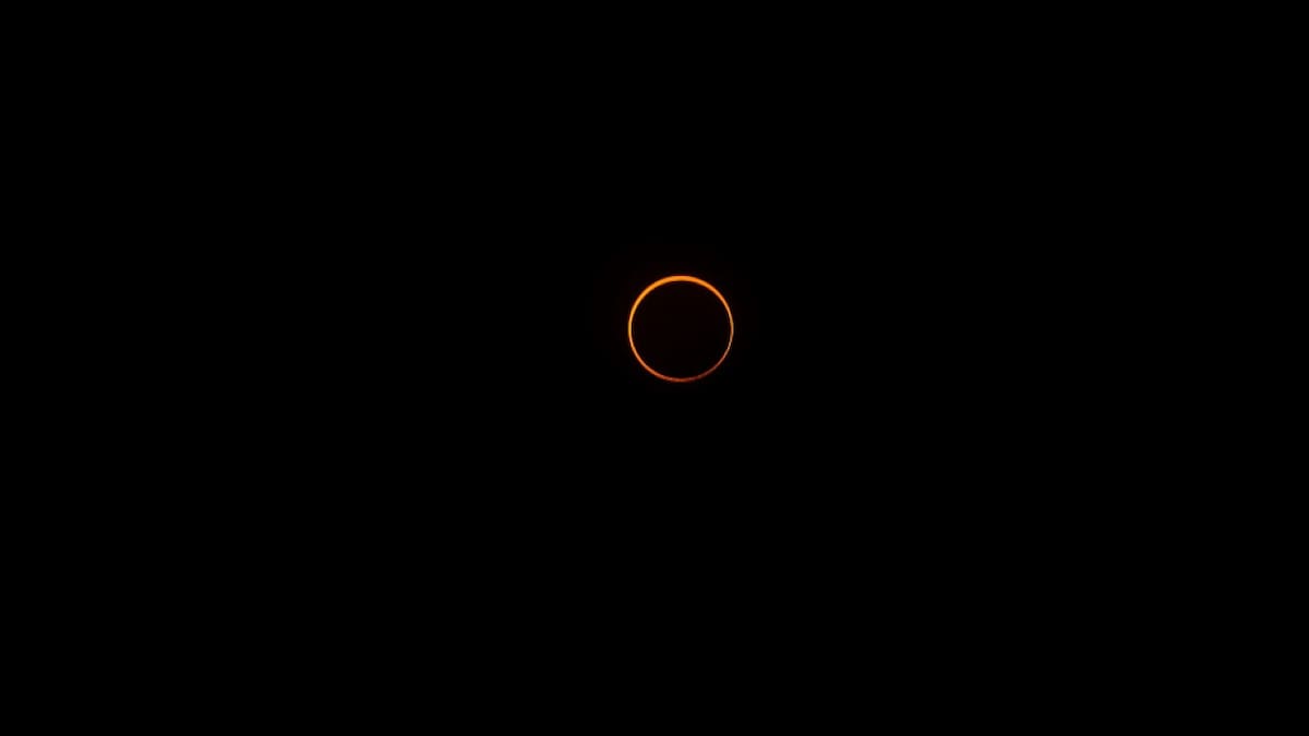 Eclipse "anillo de fuego": cómo afecta a los animales y a la naturaleza este fenómeno astronómico