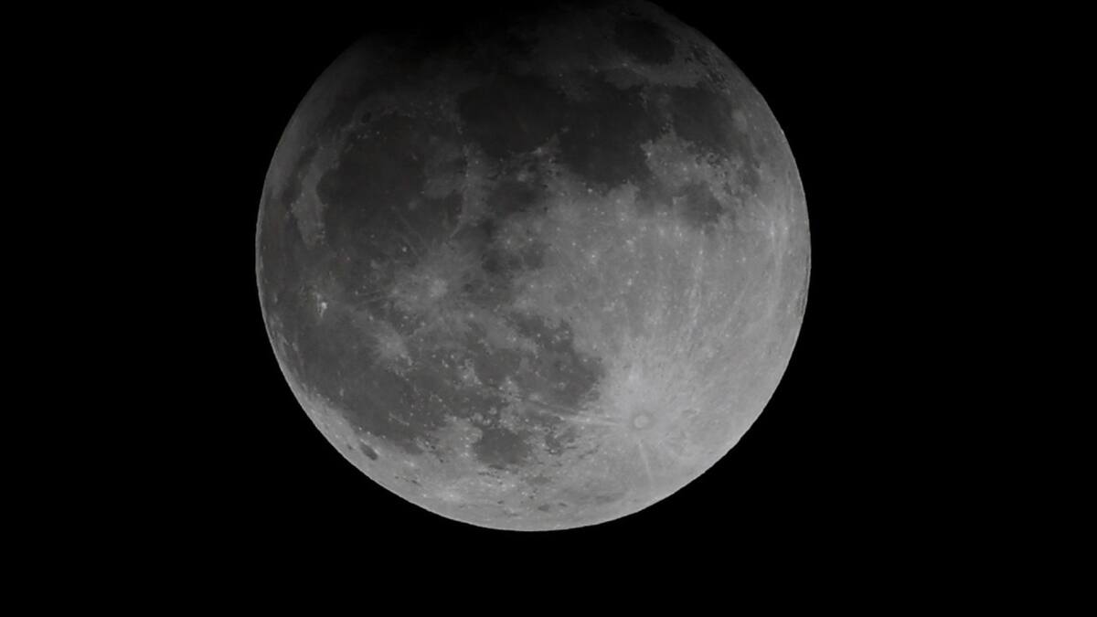 Green Moon Project enviará cultivos al espacio en 2026. Foto: EFE.
