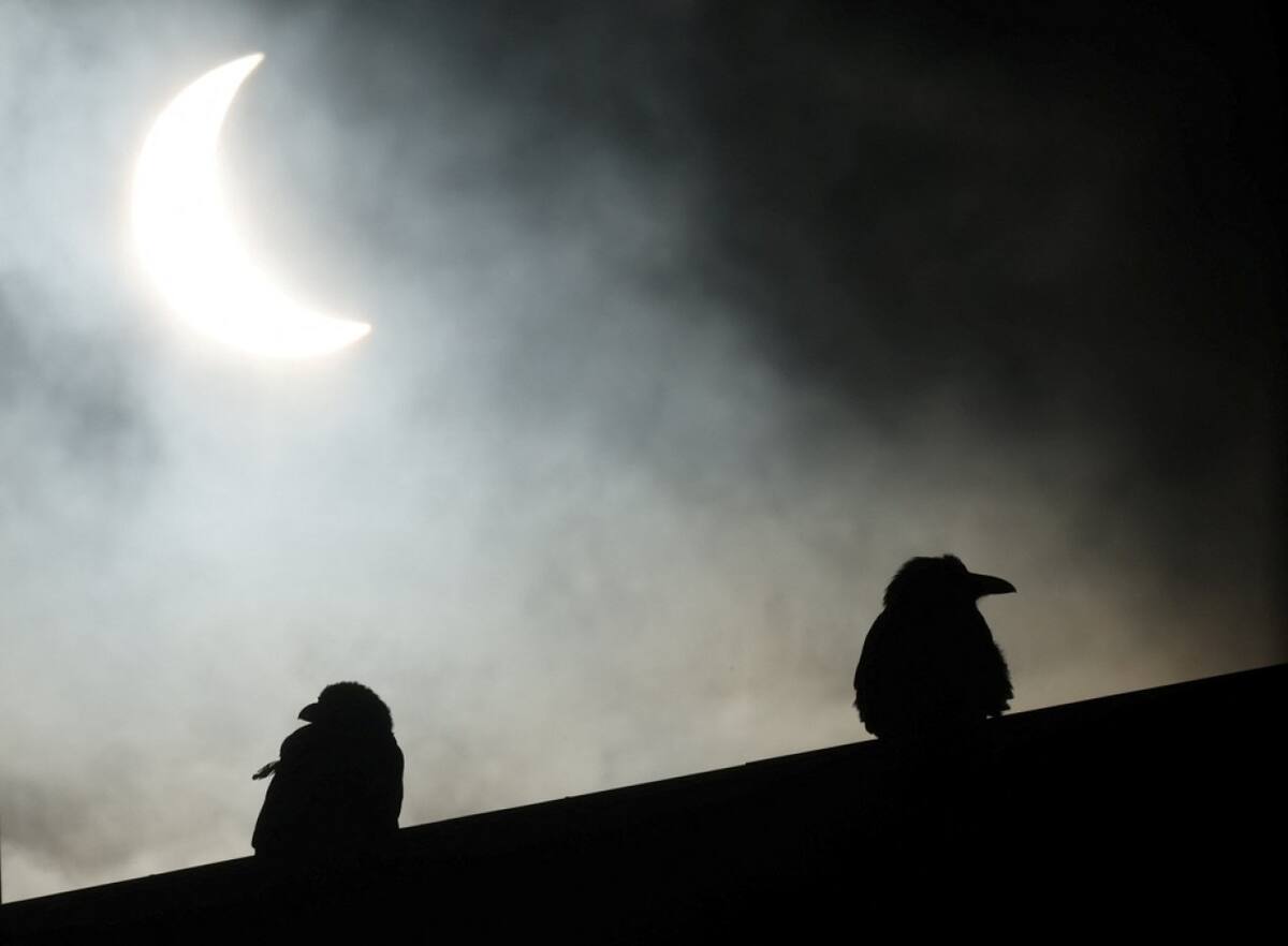 Eclipse solar del 29 de marzo de 2025. Foto: Reuters / Leonhard Foeger.