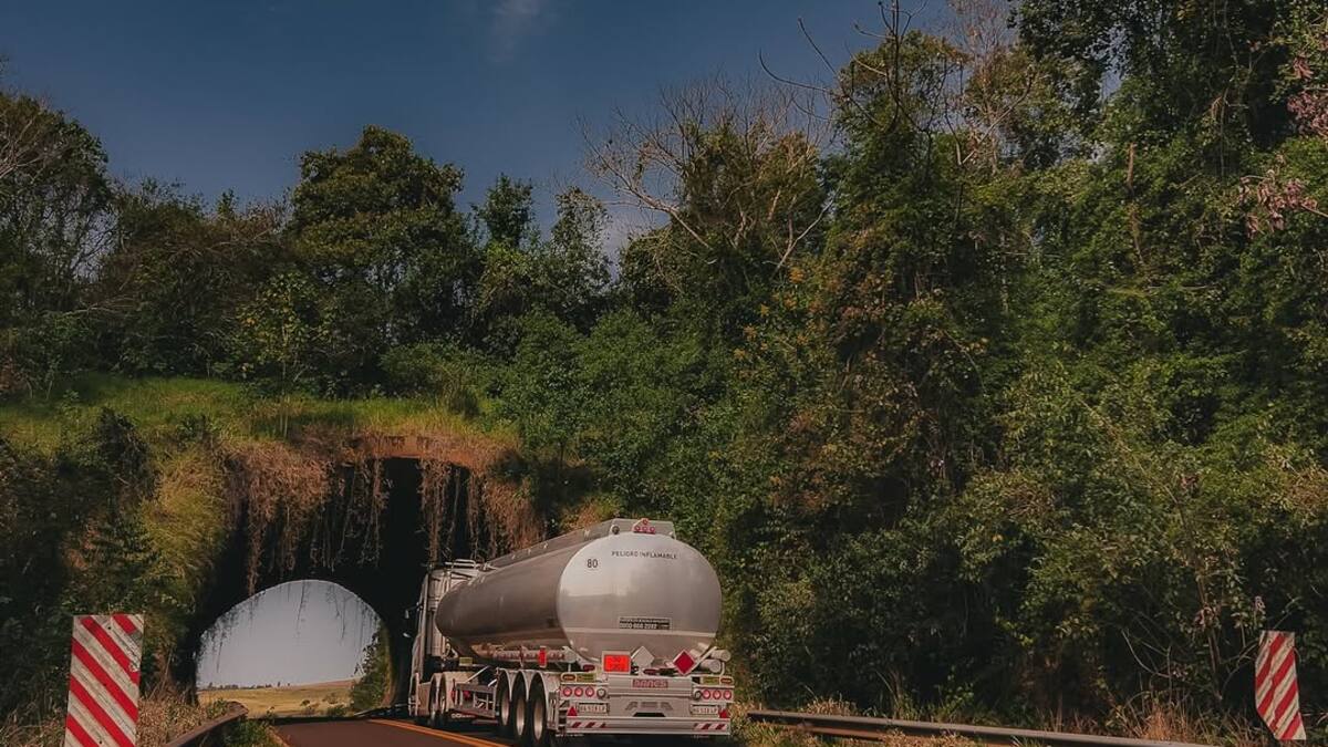 Ecoducto de la Ruta Nacional 101.