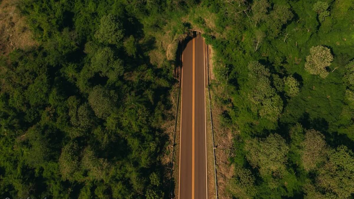 Ecoducto de la Ruta Nacional 101.