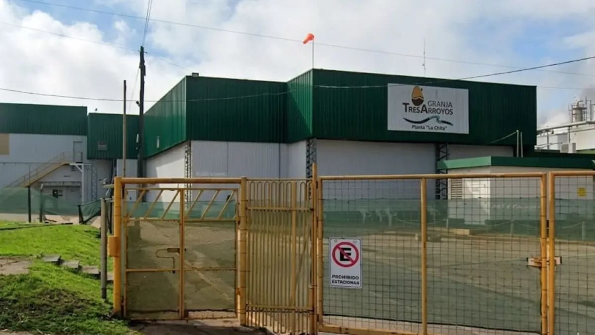 Despidos masivos en Granja Tres Arroyos: desvincularon a 1.000 empleados en dos días