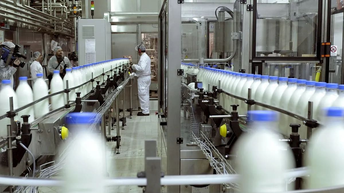 Histórica empresa láctea en quiebra podría volver a las góndolas: quiénes compiten por quedarse con sus yogures y postres