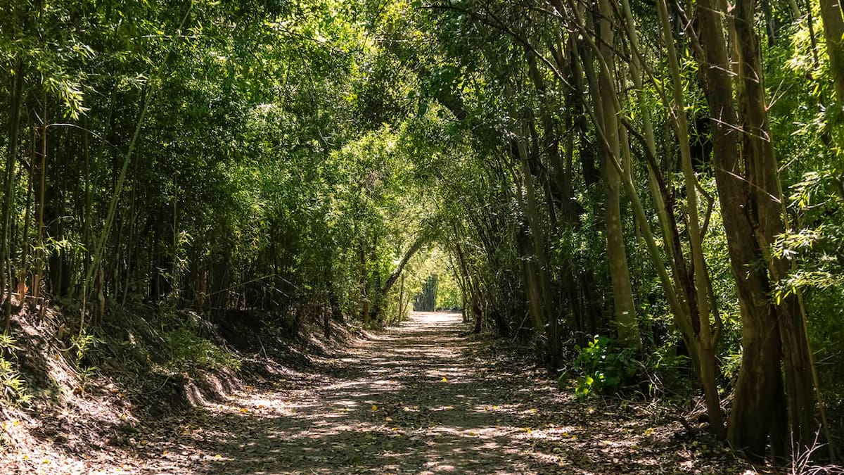 EcoParque San Fernando.