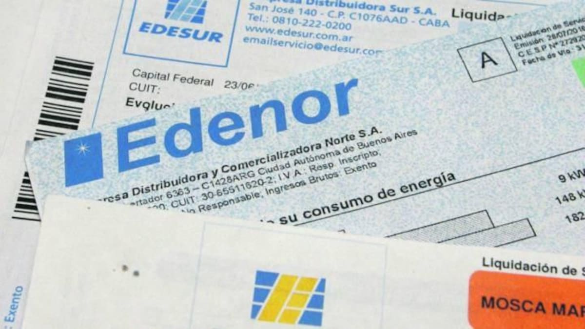 Edenor y Edesur no podrán cortar el suministro por falta de pago