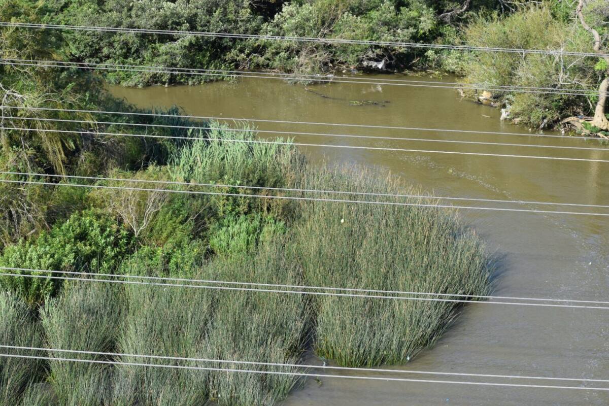 Edesur denunció "intervención de terceros" en los cortes masivos de luz en marzo. Foto: Edesur