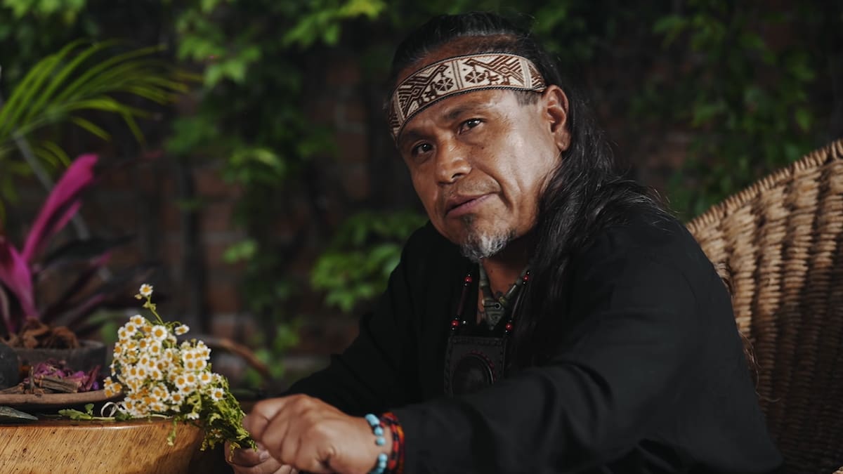 Edson Burgos, Coyote Sabio: “Cuando tú le pides permiso, la misma raíz manda la señal por medio del micelio para que sea cortada; eso es hermoso”