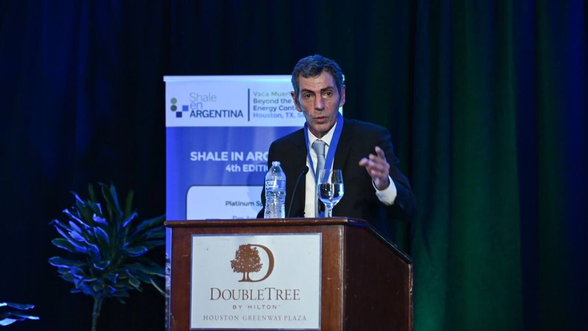 Cambios en Energía: renunció Eduardo Rodríguez Chirillo y será reemplazado por María del Carmen Tettamanti