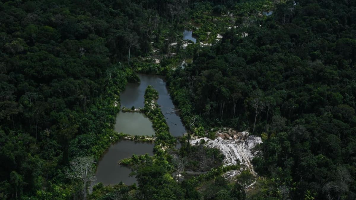 El amazonas. Foto EFE.