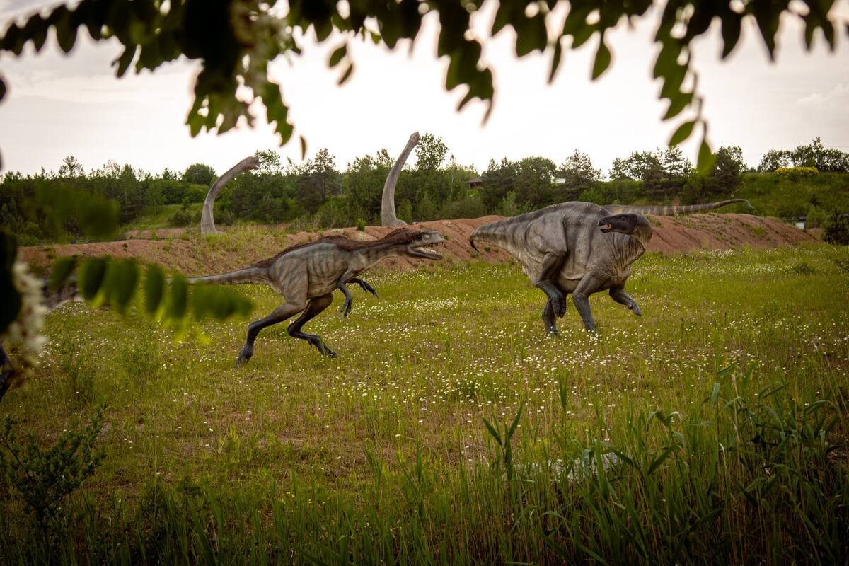 El cambio climático, el factor oculto de la extensión de los dinosaurios. Foto: Unsplash