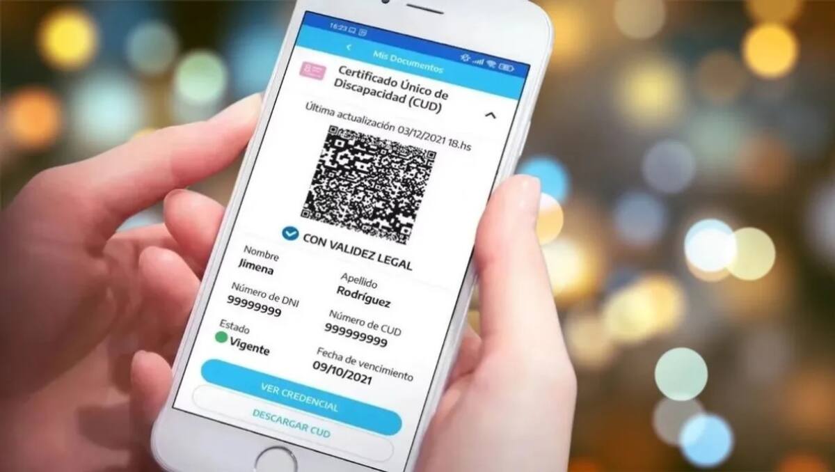 El Certificado Único de Discapacidad (CUD) tiene validez en toda la Argentina. Foto: NA.
