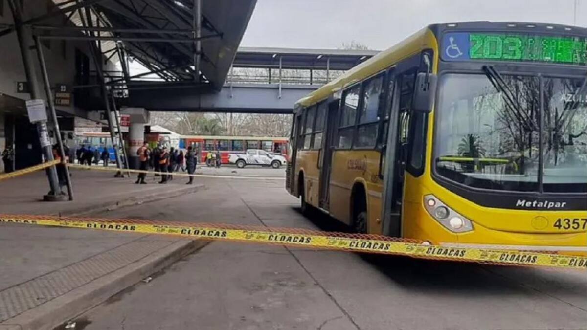 Un nene jugaba con una bolita que se le cayó, fue a buscarla y murió atropellado por un colectivo