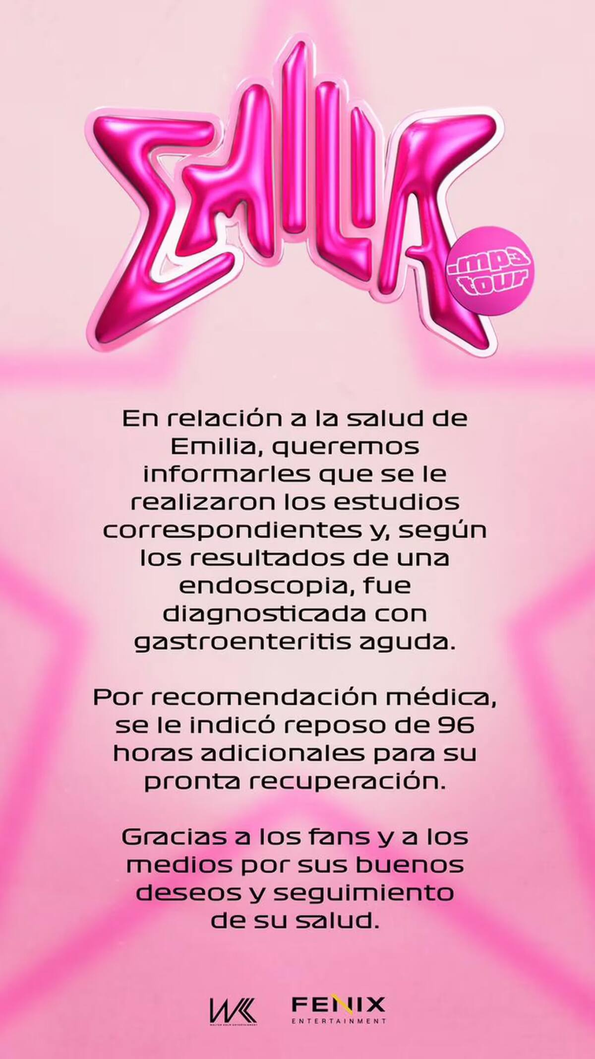 El comunicado sobre la salud de Emilia Mernes. Foto: Instagram.