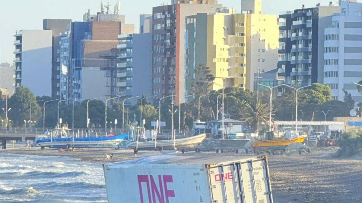 Apareció en la orilla de Puerto Madryn
