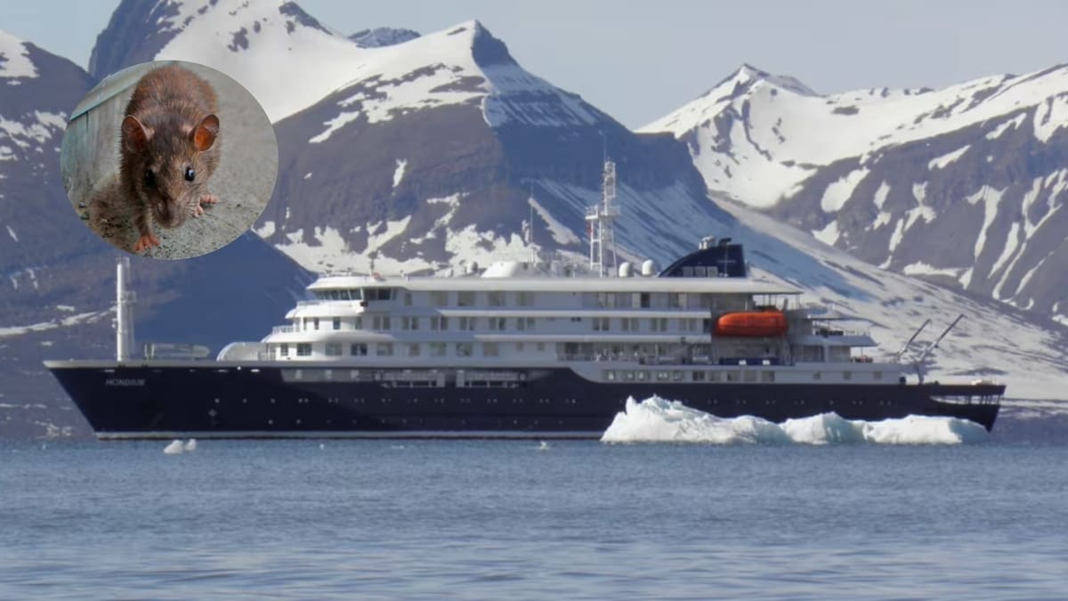 El crucero MV Hondius podría ser evacuado por hantavirus.