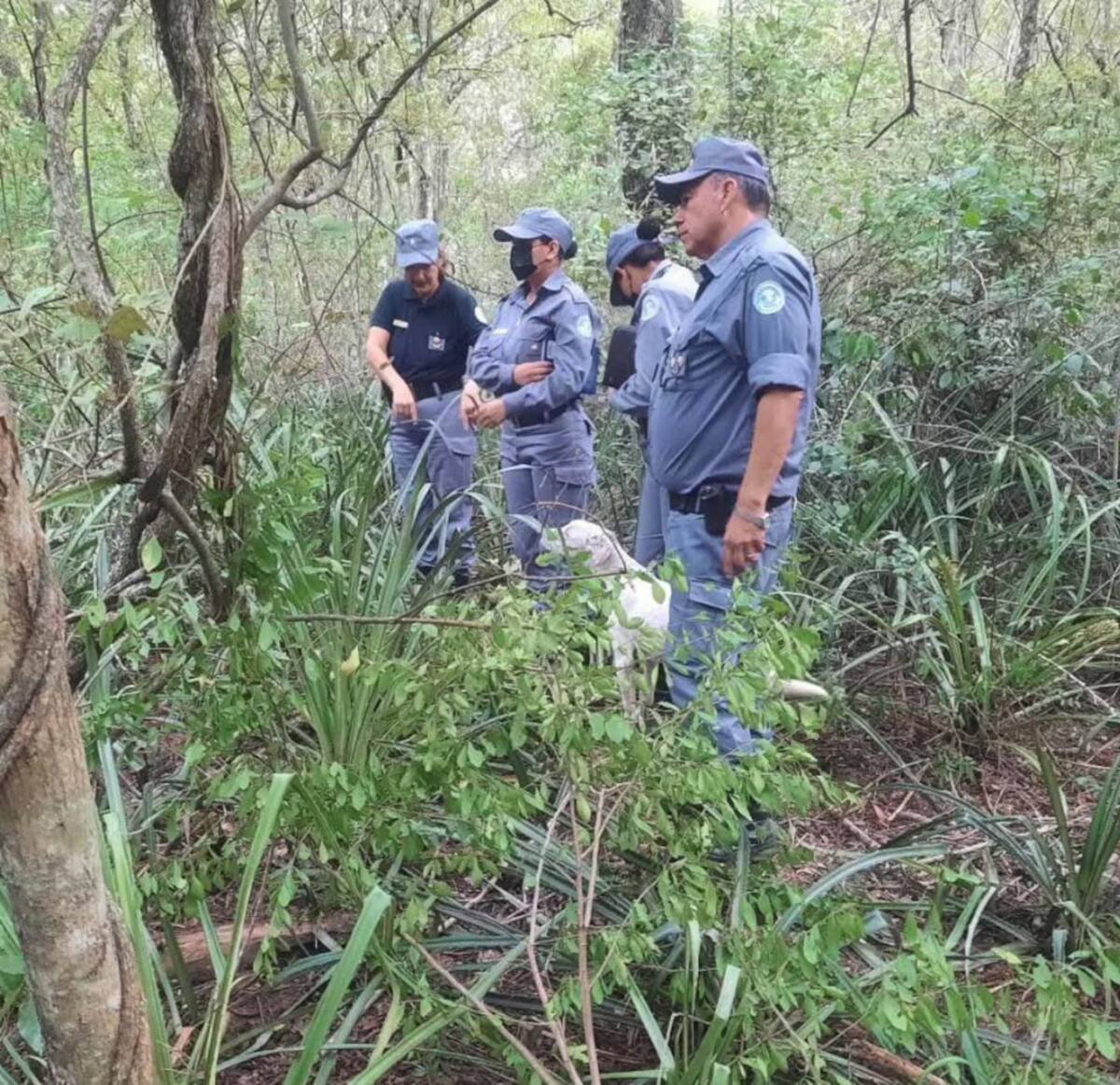 El cuerpo de María estaba enterrado cerca del río Bermejo. Foto: Facebook/Ariel Costilla Noticias.