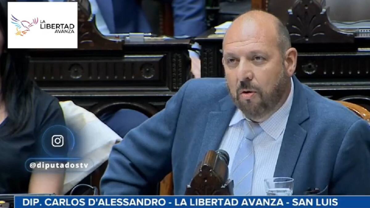 El diputado nacional por La Libertad Avanza (LLA), Carlos DAlessandro. Foto: captura video