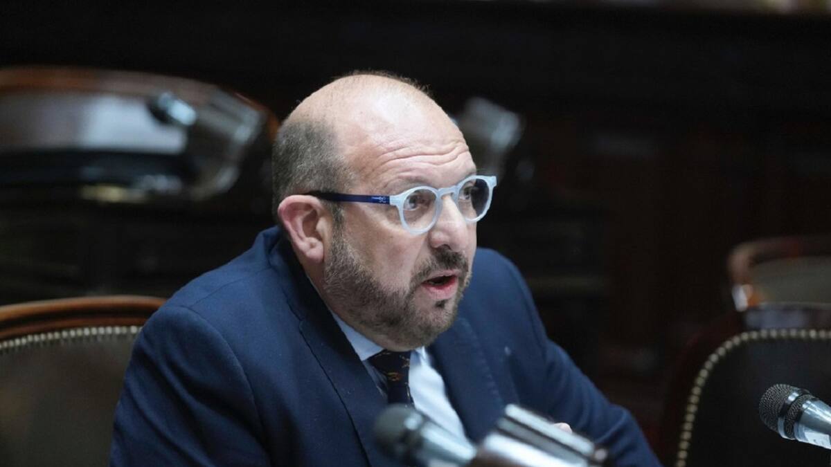 El diputado nacional por San Luis, Carlos D'Alessandro. Foto: Instagram @carlos.gonzalezdalessandro